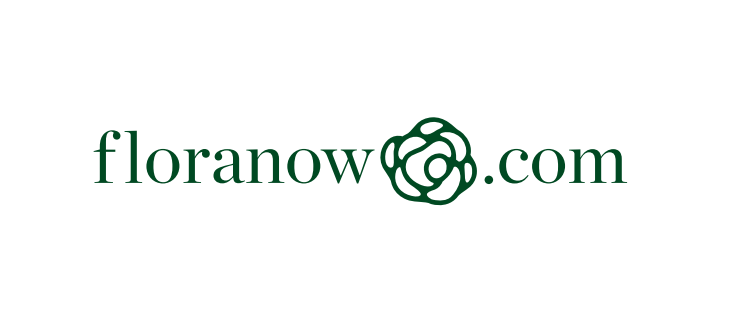 منصة Floranow تُغلق جولة استثمارية بقيمة 300 ألف دولار بقيادة ومضة